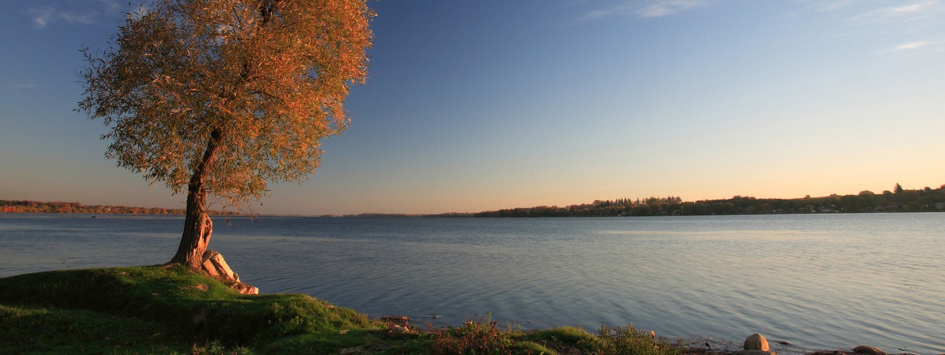 Lake Scugog