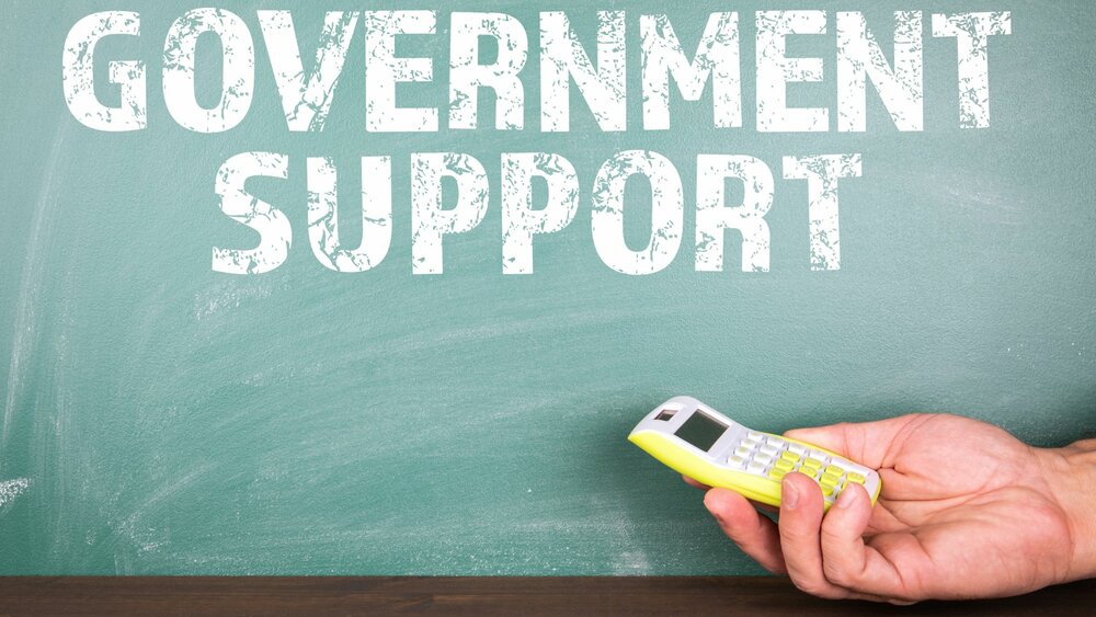 Government Support